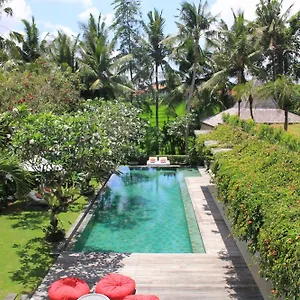 Sally Canggu (Bali)